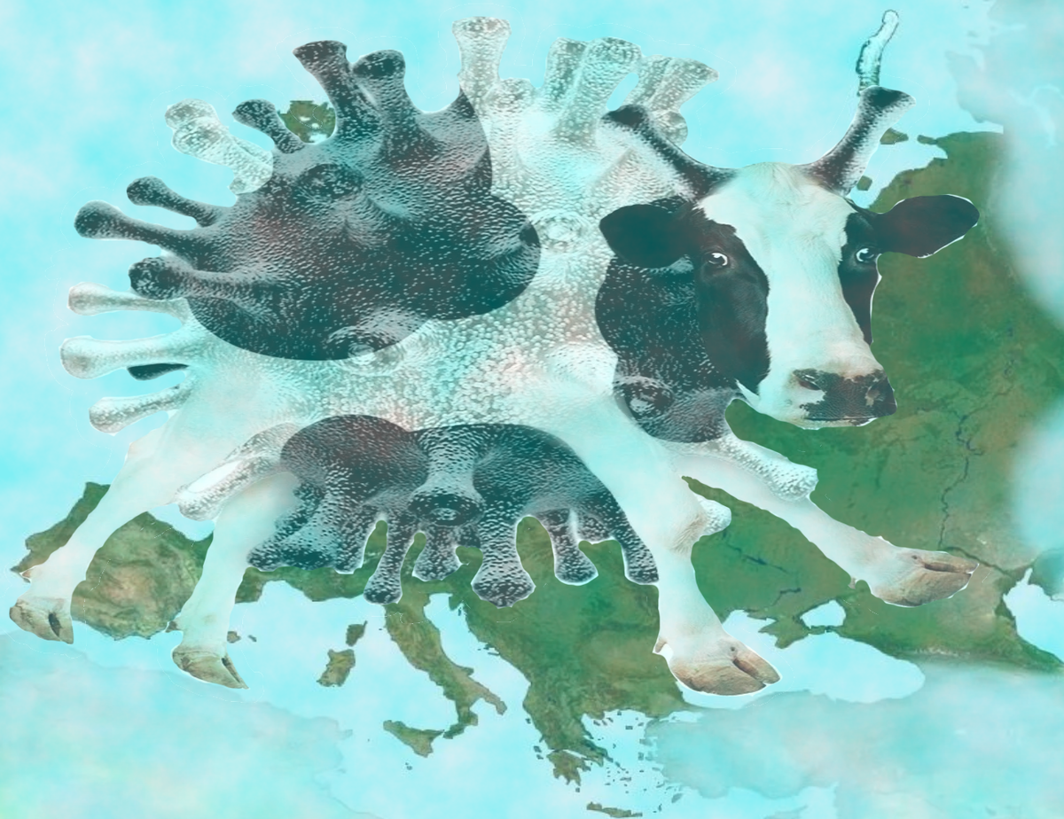 2024 10 30 20 14 57
