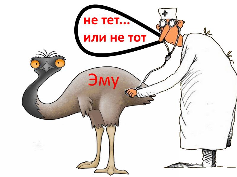 Экскурс в прошлое 99. Эму-не тот? Или наконец-таки дошло? Рассуждения о вакцинации.