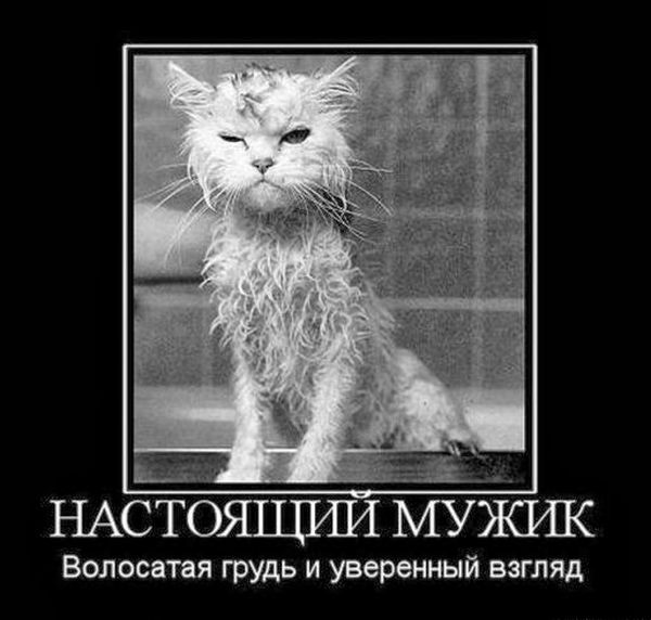 Юмор. Настоящий мужик.