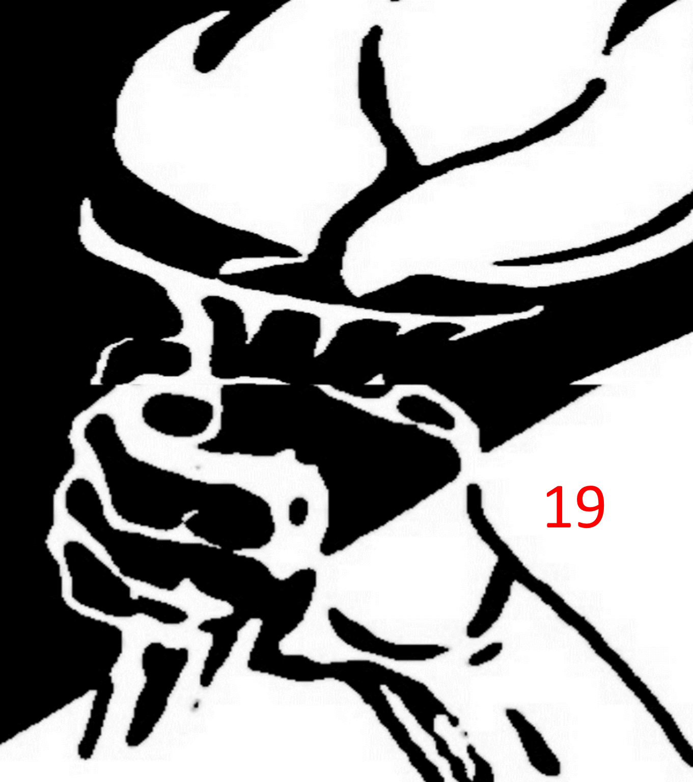 1 1361x1536 1 1509x2048