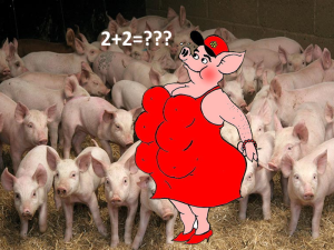 Image bwswafm nl 1o9ch66qoj