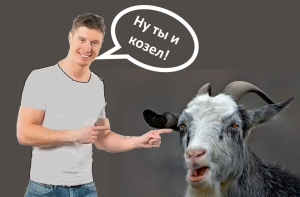 Image tczxjmpkchnplxzgbadw8