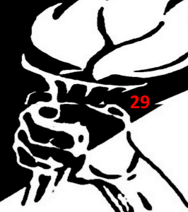 Image tczxjmpkchnplxzgbadw8