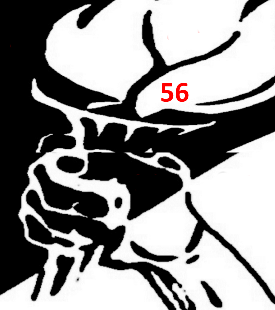 Человек — основа общества (Закон) Часть вторая.  Либертанское Право.Уголовное право. Соответствие существующего статей УК и Единого Закона. (14)