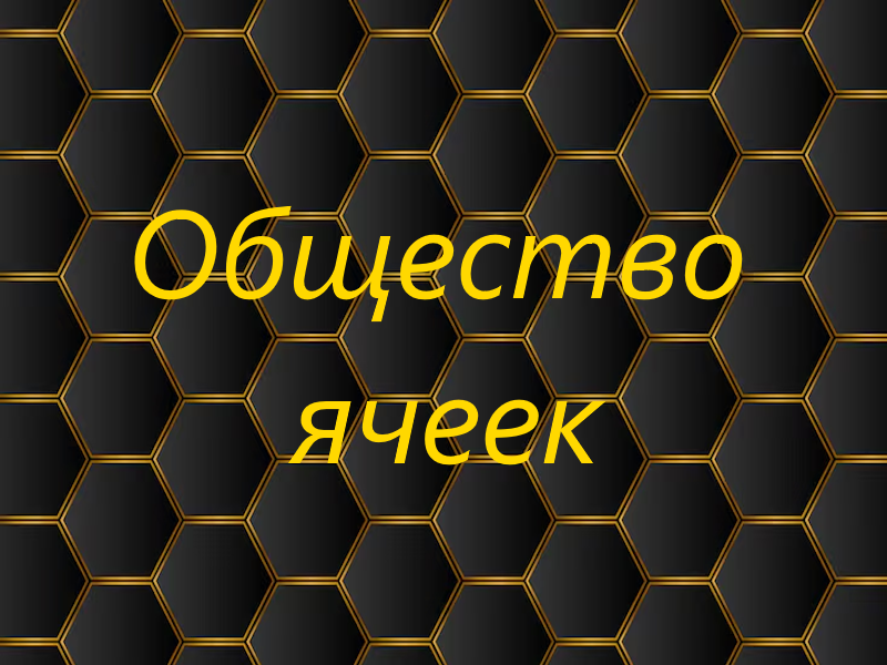 Основы либертанского права. Общество ячеек.